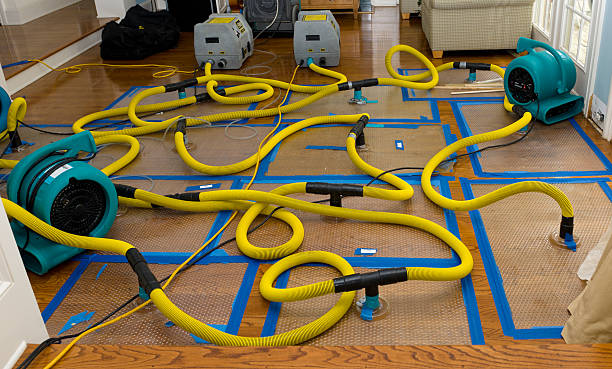 Professional Sewage Cleanup technician working in Toledo, IL