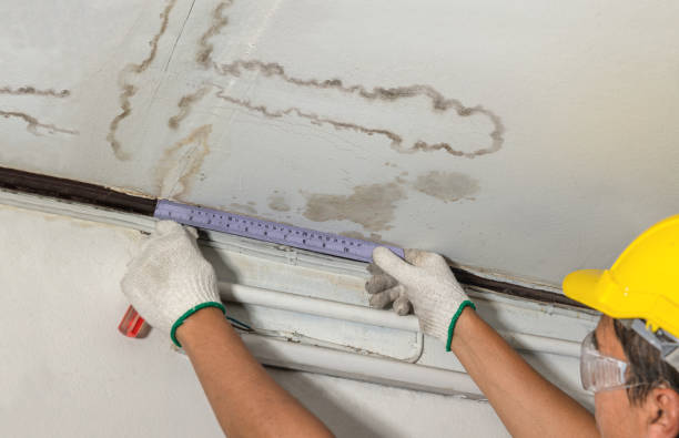 Affordable Water Damage Repair solutions in Toledo, IL